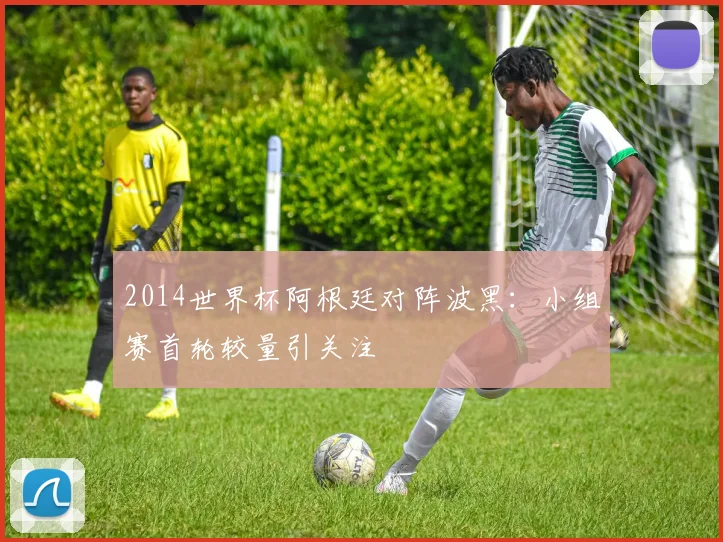 2014世界杯阿根廷对阵波黑:小组赛首轮较量引关注